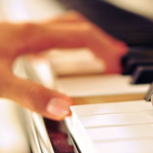 成人av在线网站
