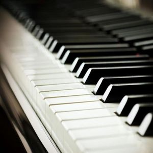 成人av在线网站
